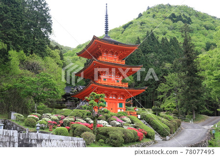 Chofukuji 4 Chofukuji 4 78077495