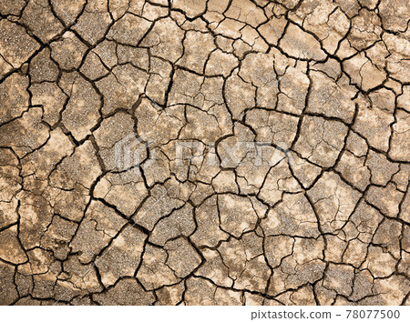 Cracked soil texture Cracked soil texture 78077500