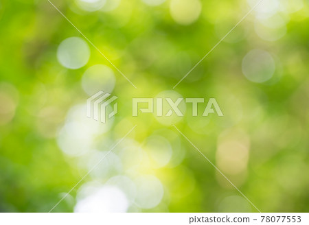 Green bokhe Green bokhe 78077553