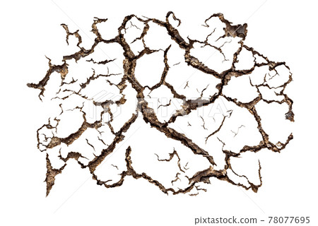 Pattern of cracked soil Pattern of cracked soil 78077695