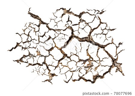 Pattern of cracked soil Pattern of cracked soil 78077696