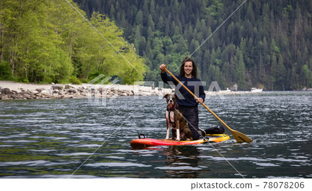 Adult Caucasian Adventure Woman on a paddle board with boxer dog 78078206