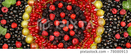 background of blackberries, red currants, raspberries and gooseberries. Wide photo. background of blackberries, red currants, raspberries and gooseberries. Wide photo. 78080913