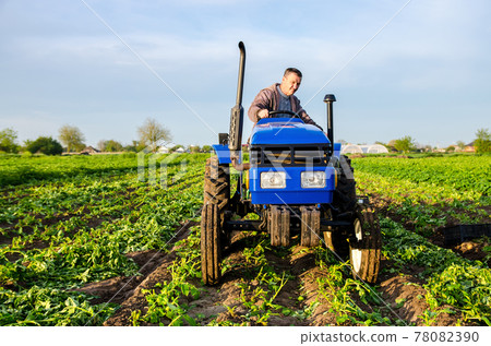 The farmer rides towards on farm field. Harvesting crops campaign, earthworks. Agro industry, agribusiness. Farming, agriculture. Harvesting potatoes in early spring. Countryside farmland. 78082390