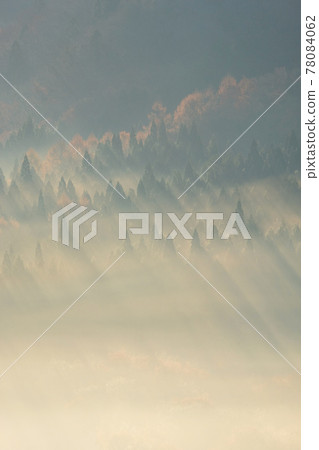 Background material: Scenery of morning light shining into the sea of clouds forest Background material: Scenery of morning light shining into the sea of clouds forest 78084062
