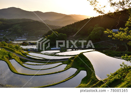 Rice terrace of Hase valley Rice terrace of Hase valley 78085165