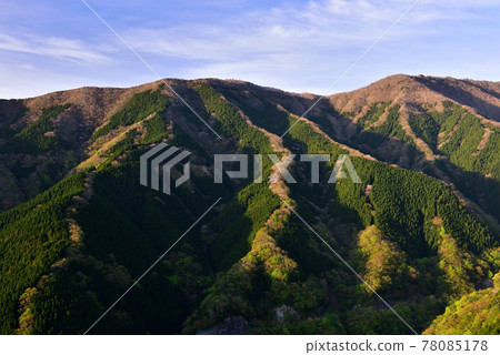 Namego山谷的櫻花 Namego山谷的櫻花 78085178
