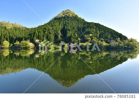 Fresh green Murou Lake Fresh green Murou Lake 78085181
