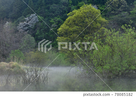 Murou Lake fog Murou Lake fog 78085182