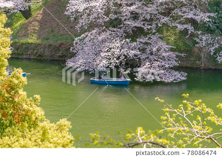 東京千代田區九段千鳥淵櫻花盛開 東京千代田區九段千鳥淵櫻花盛開 78086474