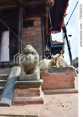 Bhaktapur and goats in the Kathmandu Valley, Nepal Bhaktapur and goats in the Kathmandu Valley, Nepal 78086935