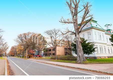 Autumn Hokkaido Hokkaido University Sapporo Campus Autumn Hokkaido Hokkaido University Sapporo Campus 78088203