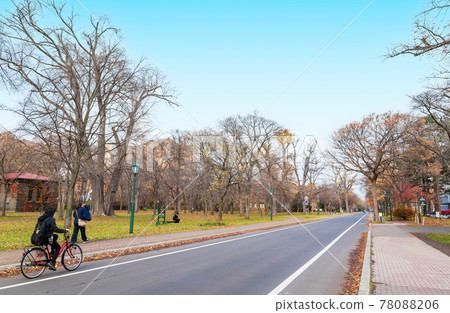 Autumn Hokkaido Hokkaido University Sapporo Campus Autumn Hokkaido Hokkaido University Sapporo Campus 78088206