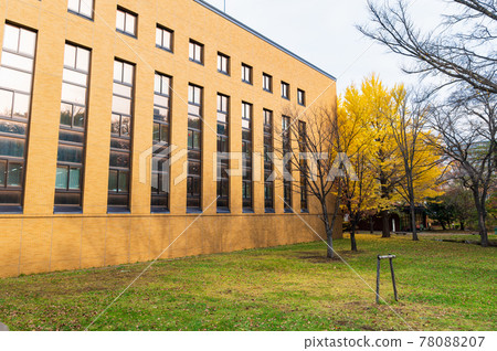 Autumn Hokkaido Hokkaido University Sapporo Campus Autumn Hokkaido Hokkaido University Sapporo Campus 78088207