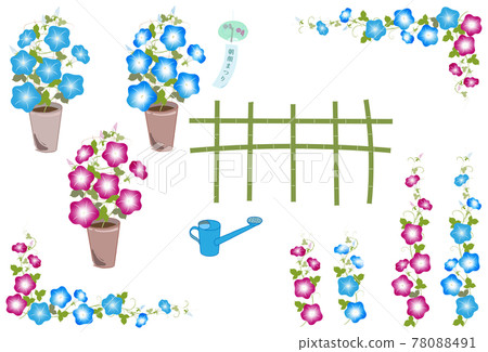 Morning glory illustration 78088491