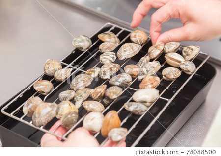 Hands of a woman who removes salt from clams 78088500