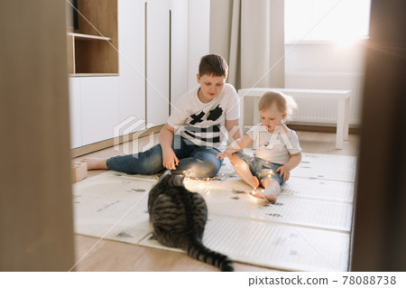 Kids playing with a cat at home. Brother and little sister having fun together 78088738