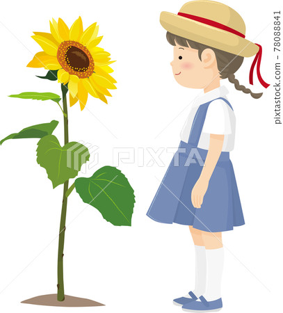 Sunflower and girl in summer clothes Sunflower and girl in summer clothes 78088841