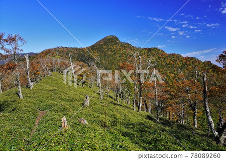 通往釋迦岳和笹原山頂的山脊 通往釋迦岳和笹原山頂的山脊 78089260