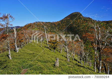 通往釋迦岳和笹原山頂的山脊 78089264