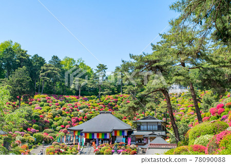 青梅市鹽船觀音杜鵑花節 78090088