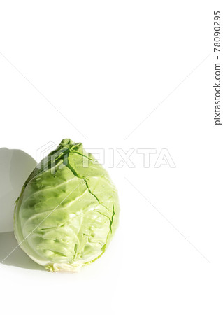 Bamboo shoot cabbage (Misaki cabbage) Bamboo shoot cabbage (Misaki cabbage) 78090295