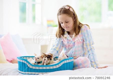 Child playing with baby cat. Kid and kitten. Child playing with baby cat. Kid and kitten. 78091246
