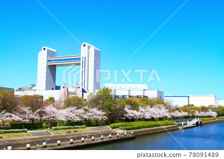 名古屋春天，盛開的櫻花和世紀大會堂的風景 78091489