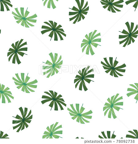Random green doodle palm licuala ornament seamless pattern. Isolated botanic foliage backdrop. Random green doodle palm licuala ornament seamless pattern. Isolated botanic foliage backdrop. 78092738