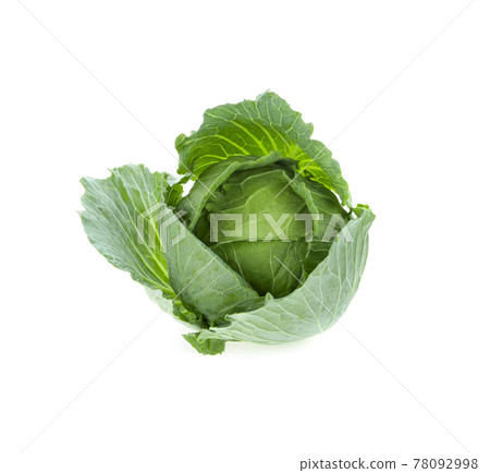 cabbage isolated on white background. 78092998