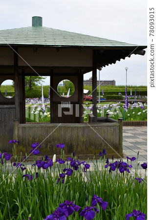 Hanashaubu flower bouquet iris 78093015