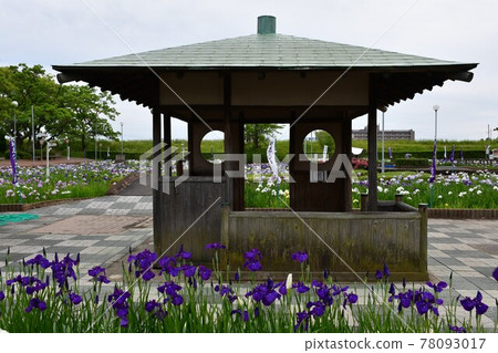 Hanashaubu flower bouquet iris 78093017