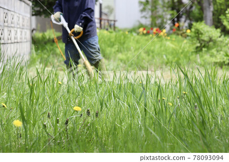 A woman mowing the grass with a household electric lawnmower through the weeds 78093094