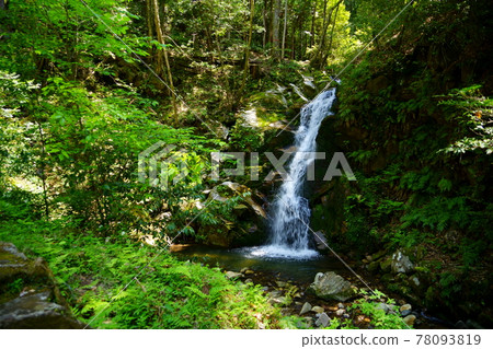 Nara / Kasugayama Primeval Forest / Uguisuno Waterfall Nara / Kasugayama Primeval Forest / Uguisuno Waterfall 78093819