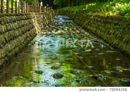 Todoroki Ravine周圍的東京風景城市景觀 Todoroki Ravine周圍的東京風景城市景觀 78094288