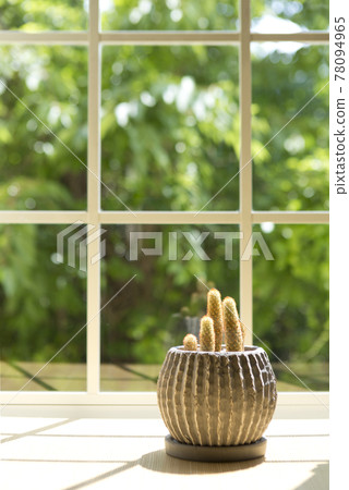 Bay window sunshine 78094965