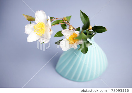 鮮花放在花瓶裡 鮮花放在花瓶裡 78095316