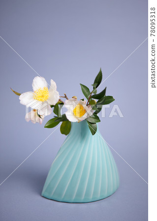 Flowers put in a vase 78095318