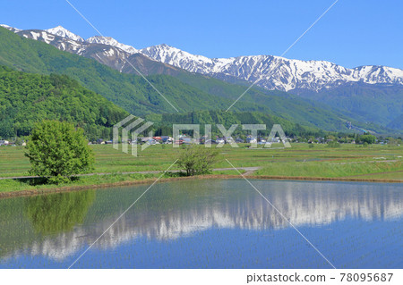 5月的白馬山腳下的白馬三山 5月的白馬山腳下的白馬三山 78095687