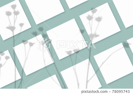 Natural light casts shadows from the plant on several square sheets of white paper lying on a green textured background. Mockup 78095743