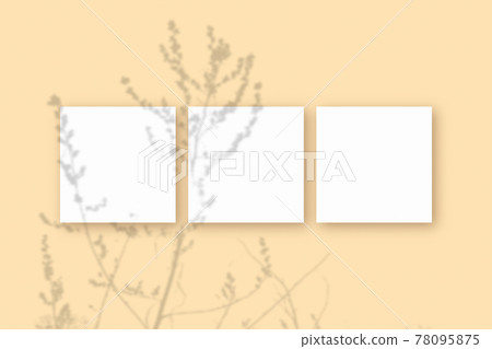 Natural light casts shadows from the plant on 3 square sheets of white textured paper lying on a beige textured background. Mockup 78095875