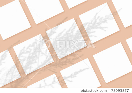 Natural light casts shadows from the plant on several square sheets of white paper lying on a beige textured background. Mockup Natural light casts shadows from the plant on several square sheets of white paper lying on a beige textured background. Mockup 78095877