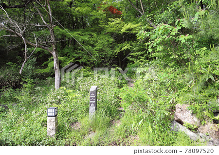 Trim Park Kanazu Nature Zone Forest School(福井縣蘆原市) Trim Park Kanazu Nature Zone Forest School(福井縣蘆原市) 78097520