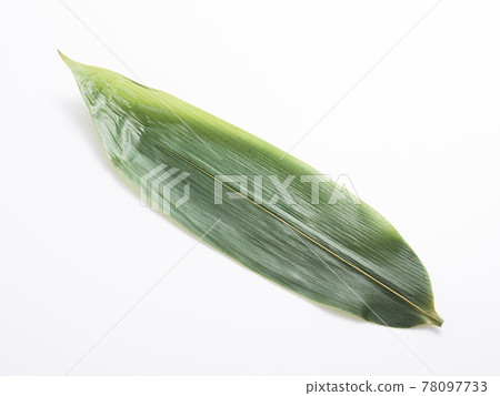 Bamboo leaf  Bamboo leaf  78097733