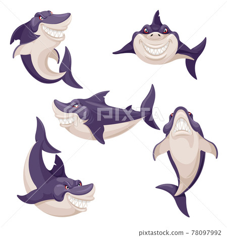 Cute shark. Dangerous fish, ocean creature predator. Swimming smiling sharks mascot. Isolated vector characters 78097992