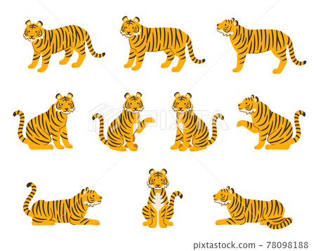 Illustration set of tigers in various poses 78098188