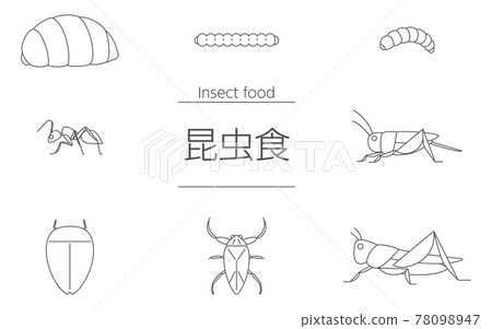 一套可以和昆蟲食品一起吃的昆蟲 一套可以和昆蟲食品一起吃的昆蟲 78098947