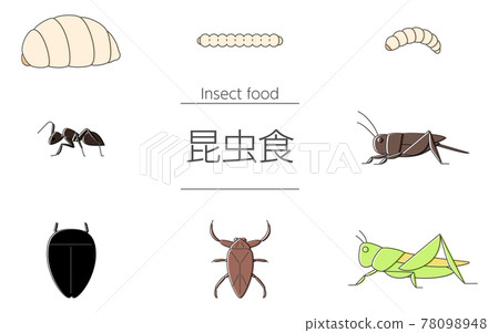 一套可以和昆蟲食品一起吃的昆蟲 一套可以和昆蟲食品一起吃的昆蟲 78098948