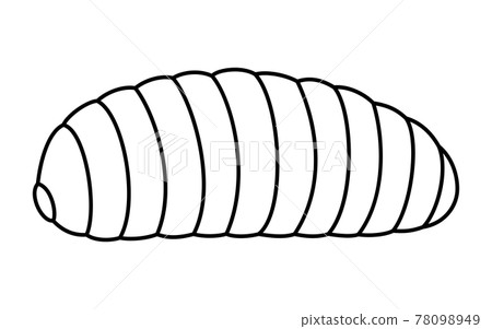 幼蟲,昆蟲食物可以吃的昆蟲 幼蟲,昆蟲食物可以吃的昆蟲 78098949