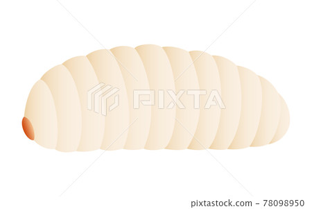 幼蟲,昆蟲食物可以吃的昆蟲 幼蟲,昆蟲食物可以吃的昆蟲 78098950